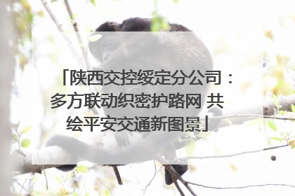 陕西交控绥定分公司：多方联动织密护路网 共绘平安交通新图景