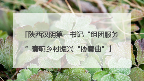 陕西汉阴第一书记“组团服务”奏响乡村振兴“协奏曲”