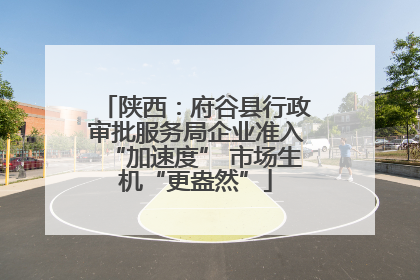 陕西：府谷县行政审批服务局企业准入“加速度” 市场生机“更盎然”