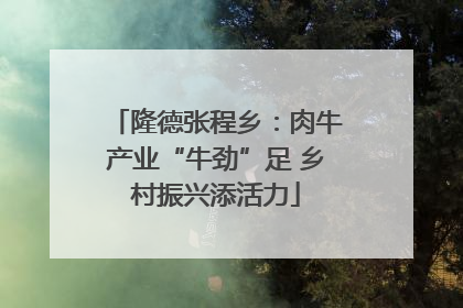 隆德张程乡：肉牛产业“牛劲”足 乡村振兴添活力