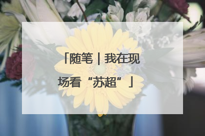 随笔｜我在现场看“苏超”