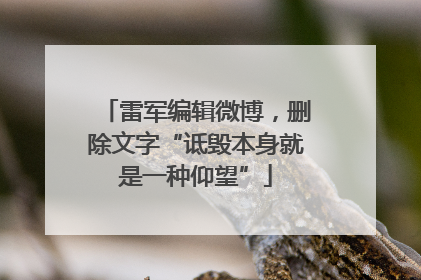 雷军编辑微博，删除文字“诋毁本身就是一种仰望”