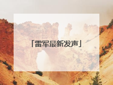 雷军最新发声