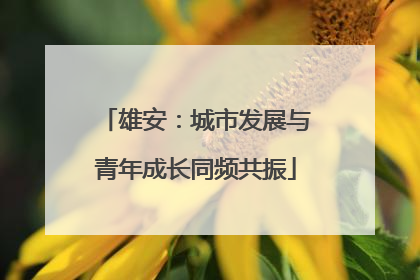 雄安：城市发展与青年成长同频共振
