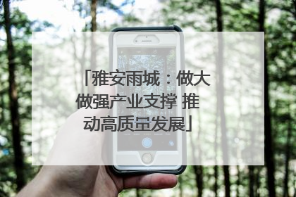 雅安雨城：做大做强产业支撑 推动高质量发展