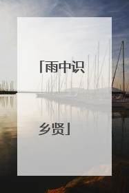 雨中识乡贤
