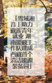 雪域湘音丨助力藏族青年就业 湖南援藏工作队建成西藏首个清洁能源装备园