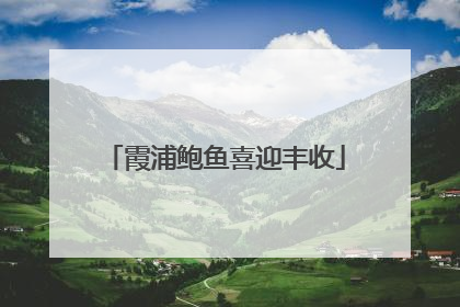 霞浦鲍鱼喜迎丰收