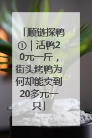 顺链探鸭①｜活鸭20元一斤，街头烤鸭为何却能卖到20多元一只