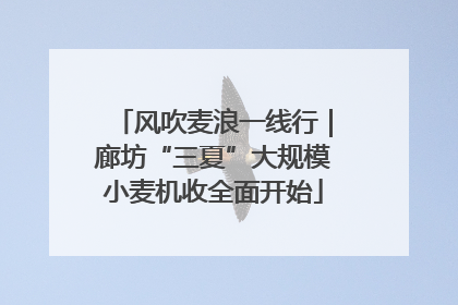 风吹麦浪一线行｜廊坊“三夏”大规模小麦机收全面开始
