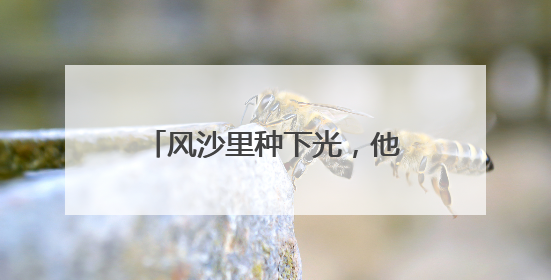 风沙里种下光，他们用代码驯服电流