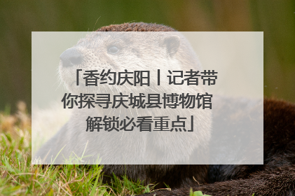 香约庆阳丨记者带你探寻庆城县博物馆 解锁必看重点