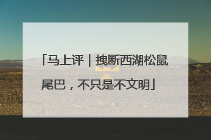 马上评｜拽断西湖松鼠尾巴，不只是不文明