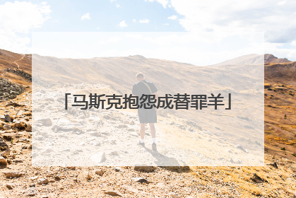 马斯克抱怨成替罪羊