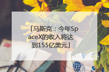 马斯克：今年SpaceX的收入将达到155亿美元