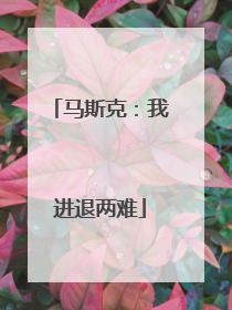 马斯克：我进退两难