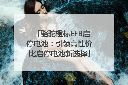 骆驼橙标EFB启停电池：引领高性价比启停电池新选择