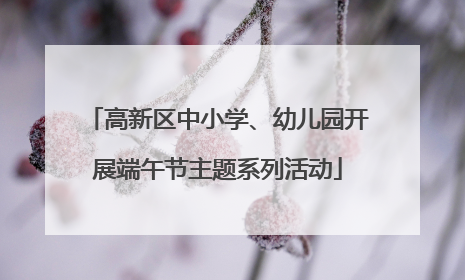 高新区中小学、幼儿园开展端午节主题系列活动