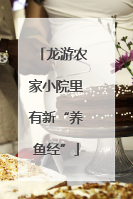 龙游农家小院里有新“养鱼经”
