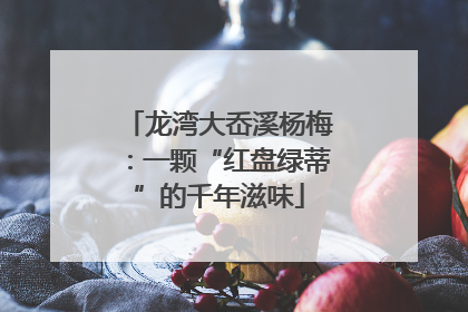 龙湾大岙溪杨梅：一颗“红盘绿蒂”的千年滋味