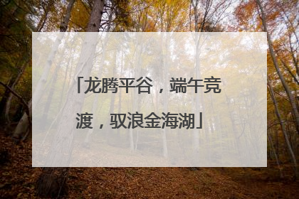 龙腾平谷,端午竞渡,驭浪金海湖