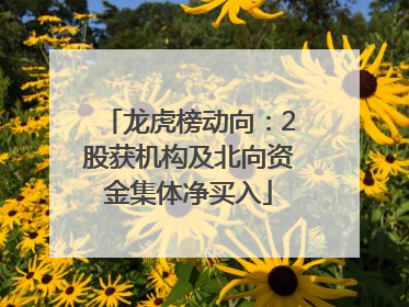 龙虎榜动向：2股获机构及北向资金集体净买入