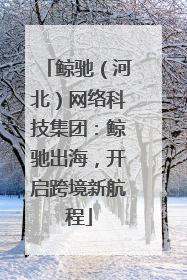 鲸驰（河北）网络科技集团：鲸驰出海，开启跨境新航程