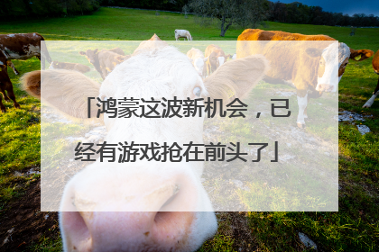 鸿蒙这波新机会，已经有游戏抢在前头了