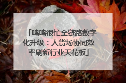 鸣鸣很忙全链路数字化升级：人货场协同效率刷新行业天花板