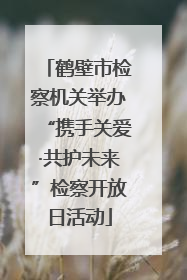 鹤壁市检察机关举办“携手关爱·共护未来”检察开放日活动