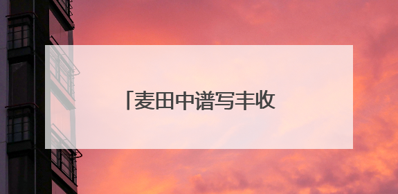 麦田中谱写丰收曲 潍坊滨海区夏收工作圆满完成