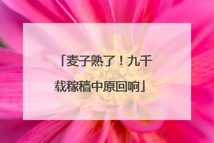 麦子熟了！九千载稼穑中原回响