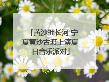黄沙拥长河 宁夏黄沙古渡上演夏日音乐派对