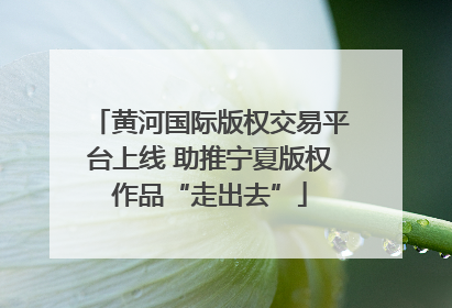 黄河国际版权交易平台上线 助推宁夏版权作品“走出去”
