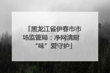 黑龙江省伊春市市场监管局：净网清厨 “味”爱守护