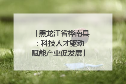 黑龙江省桦南县：科技人才驱动 赋能产业促发展