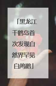 黑龙江千鹤岛首次发现自然界罕见白鸬鹚