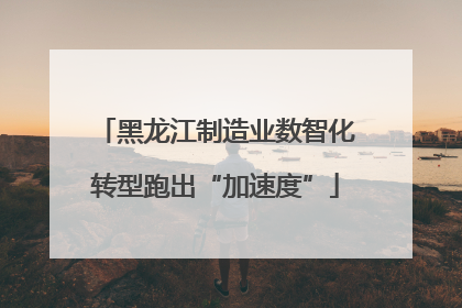 黑龙江制造业数智化转型跑出“加速度”