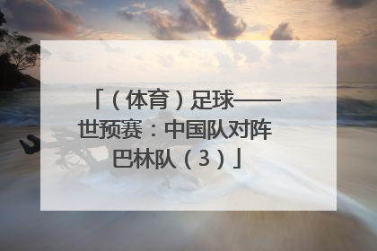 （体育）足球——世预赛：中国队对阵巴林队（3）