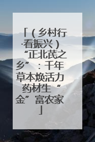 （乡村行·看振兴）“正北芪之乡”：千年草本焕活力 药材生“金”富农家