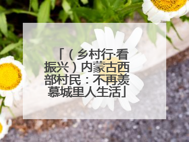 （乡村行·看振兴）内蒙古西部村民：不再羡慕城里人生活