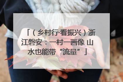 （乡村行·看振兴）浙江磐安：一村一画像 山水也能带“流量”