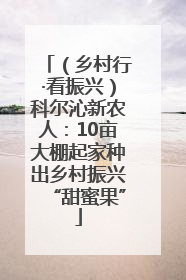 （乡村行·看振兴）科尔沁新农人：10亩大棚起家种出乡村振兴“甜蜜果”