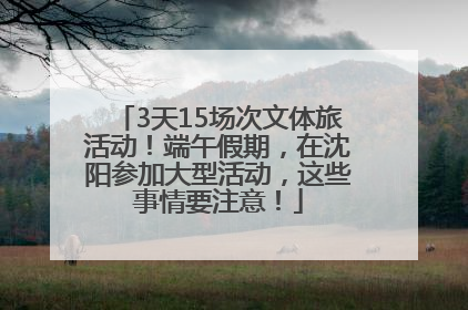 3天15场次文体旅活动！端午假期，在沈阳参加大型活动，这些事情要注意！