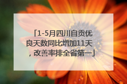1-5月四川自贡优良天数同比增加11天，改善率排全省第一