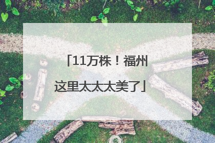 11万株！福州这里太太太美了