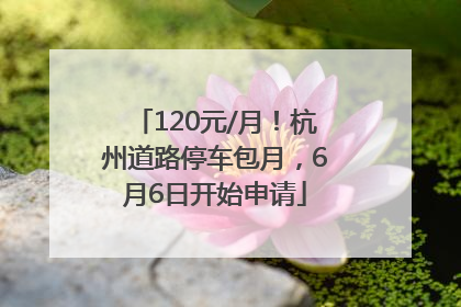 120元/月！杭州道路停车包月，6月6日开始申请