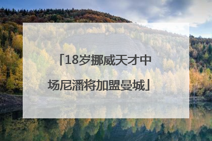18岁挪威天才中场尼潘将加盟曼城