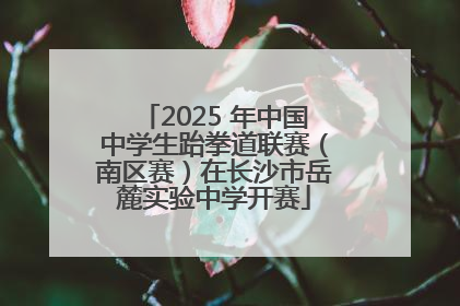 2025 年中国中学生跆拳道联赛（南区赛）在长沙市岳麓实验中学开赛
