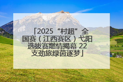 2025“村超”全国赛（江西赛区）弋阳选拔赛燃情揭幕 22支劲旅绿茵逐梦